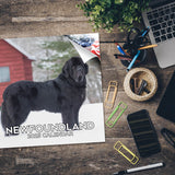 Newfoundland Wall Calendar 2025