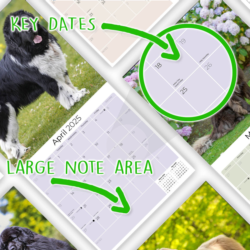 Newfoundland Wall Calendar 2025