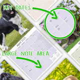 Newfoundland Wall Calendar 2025