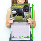 Newfoundland Wall Calendar 2025