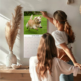 Norwich/Norfolk Terrier Wall Calendar 2025