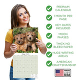 Norwich/Norfolk Terrier Wall Calendar 2025
