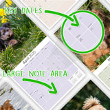 Norwich/Norfolk Terrier Wall Calendar 2025