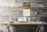 Norwich/Norfolk Terrier Wall Calendar 2025