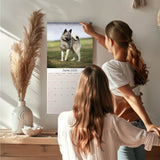 Norwegian Elkhound Wall Calendar 2025