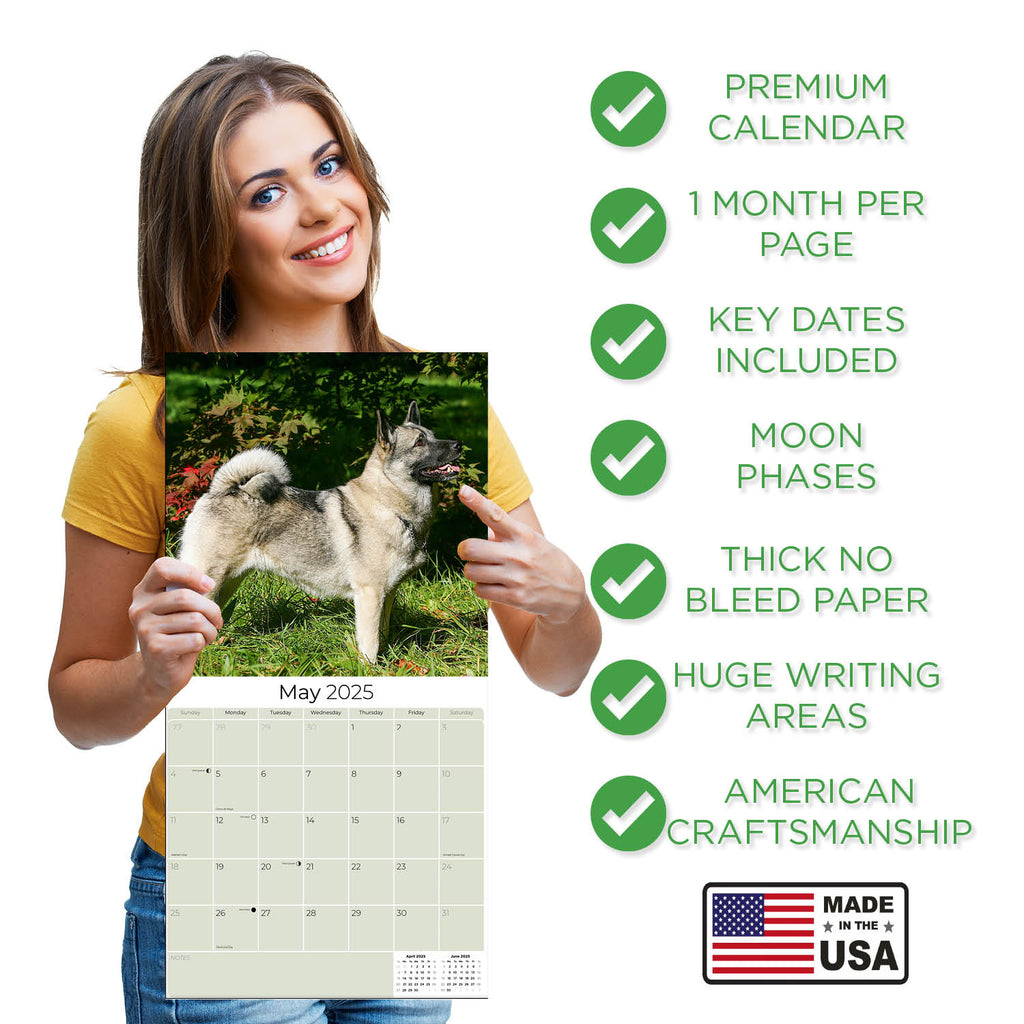 Norwegian Elkhound Wall Calendar 2025