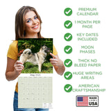 Norwegian Elkhound Wall Calendar 2025