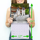 Norwegian Elkhound Wall Calendar 2025
