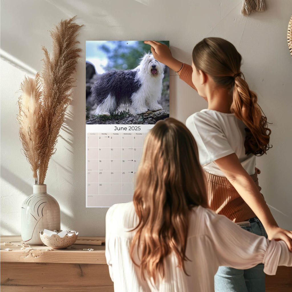 Old English Sheepdog Wall Calendar 2025