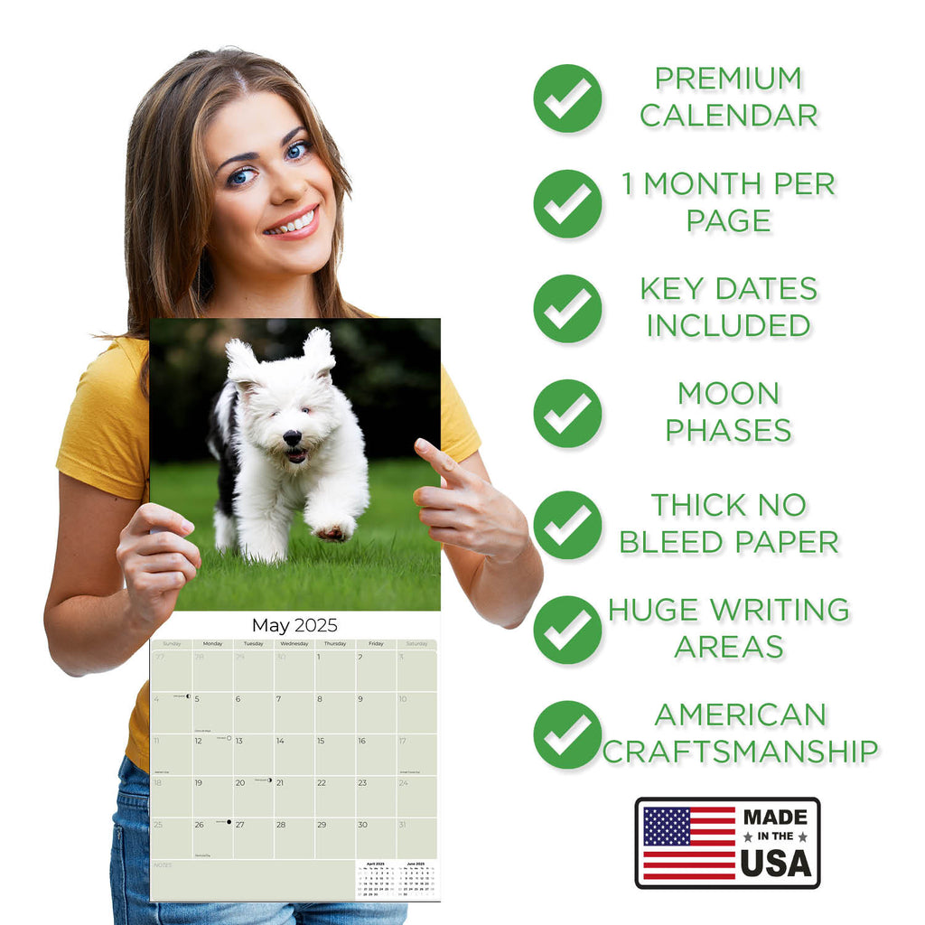 Old English Sheepdog Wall Calendar 2025