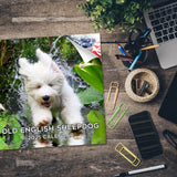 Old English Sheepdog Wall Calendar 2025