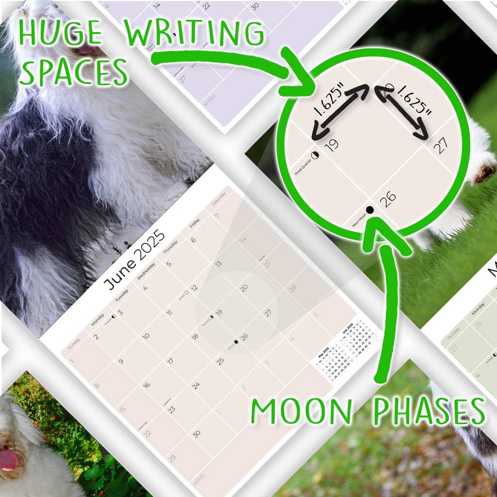 Old English Sheepdog Wall Calendar 2025