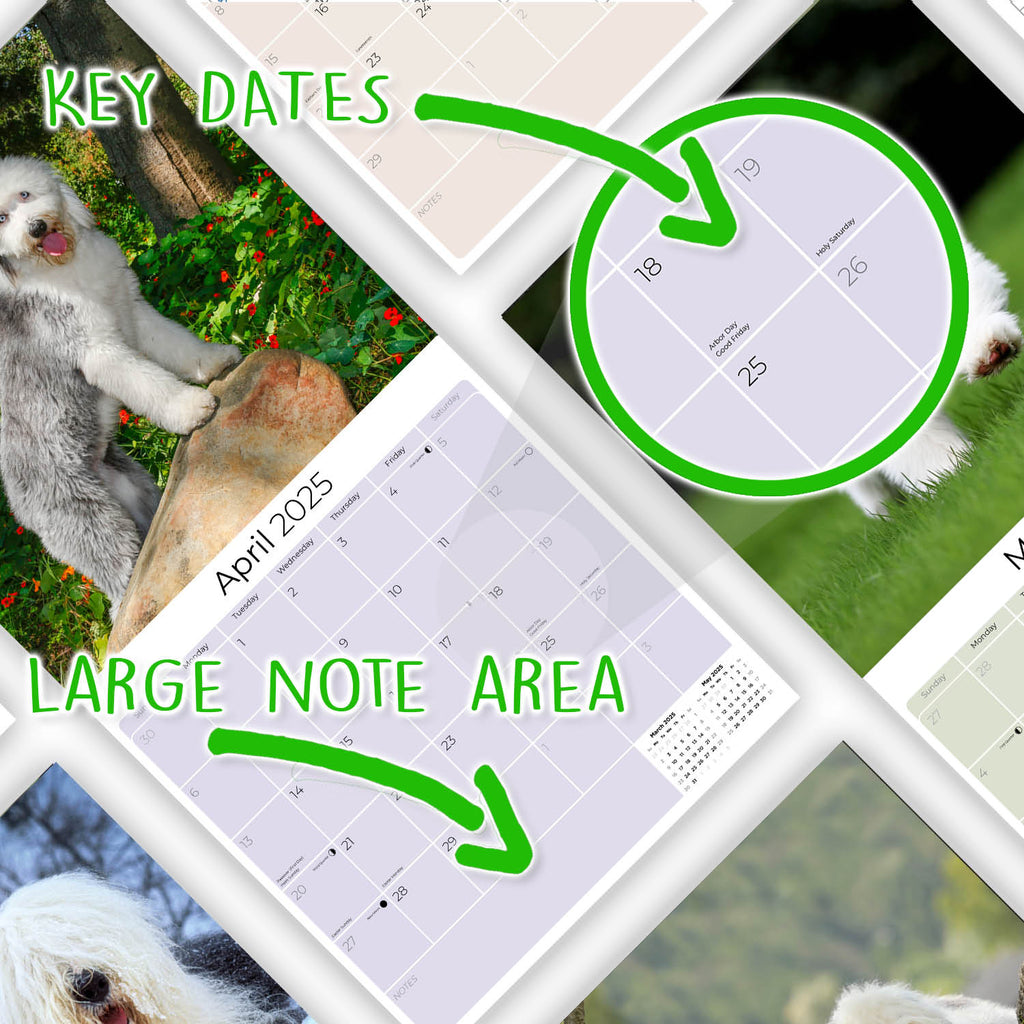 Old English Sheepdog Wall Calendar 2025