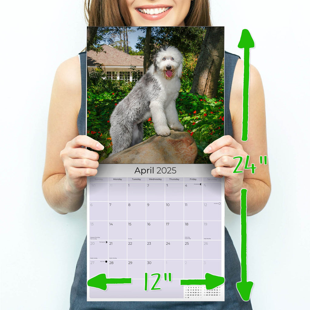 Old English Sheepdog Wall Calendar 2025