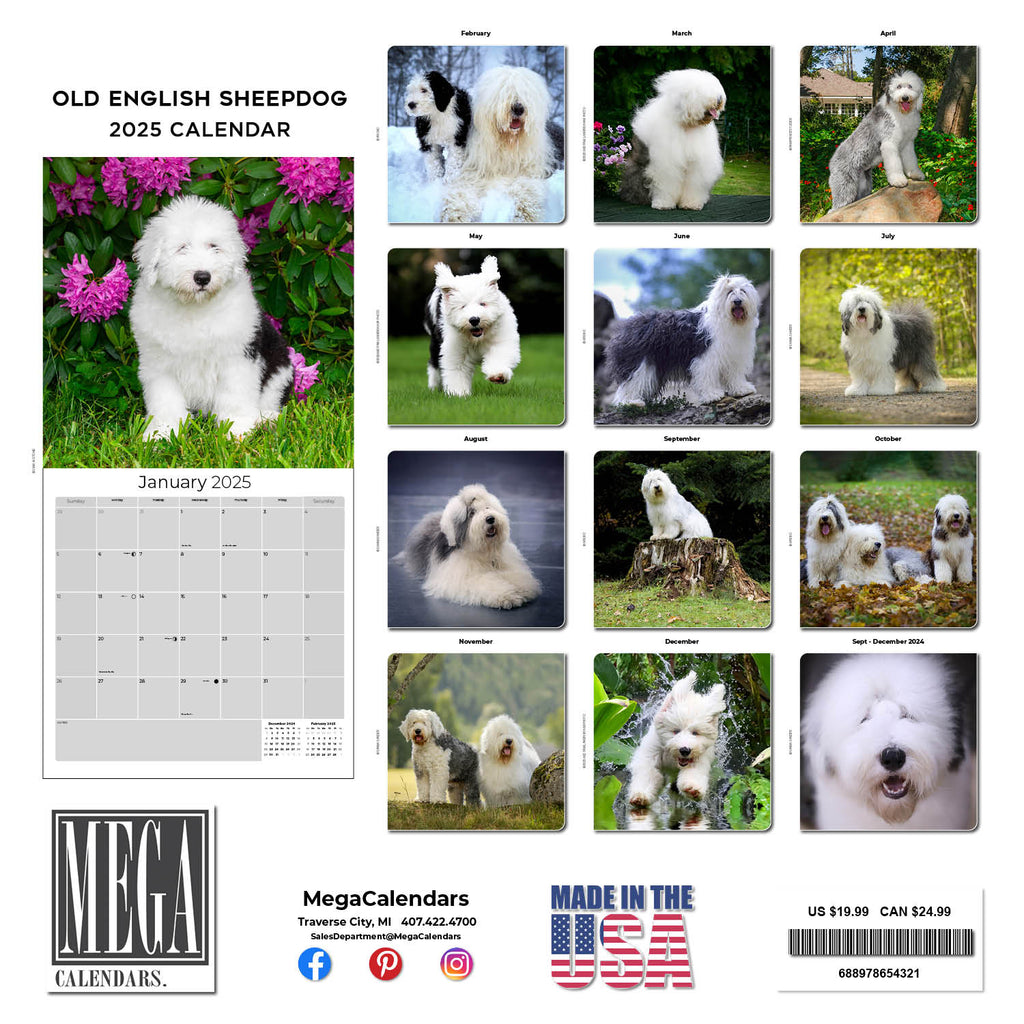 Old English Sheepdog Wall Calendar 2025