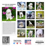Old English Sheepdog Wall Calendar 2025