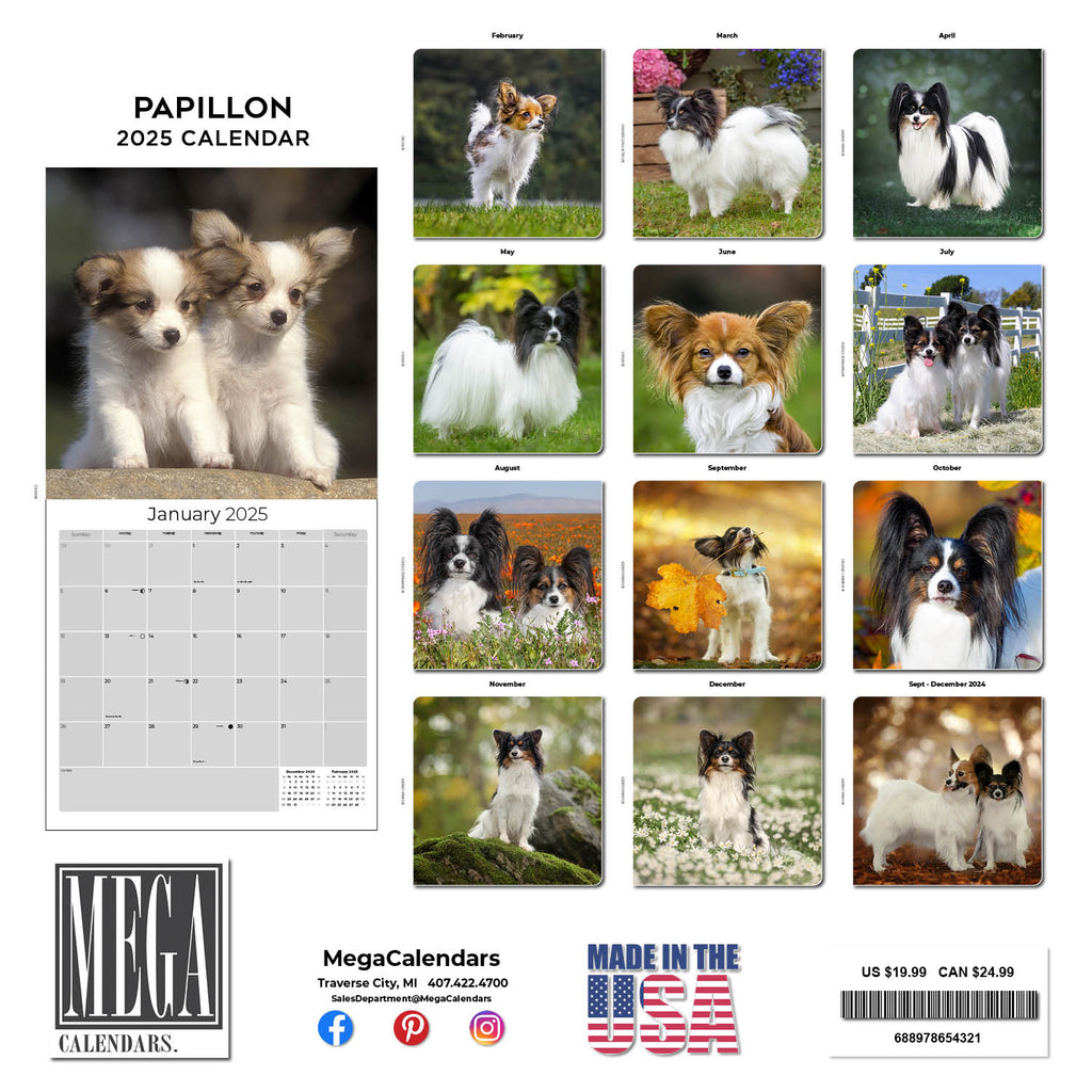 Papillon Wall Calendar 2025