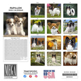 Papillon Wall Calendar 2025