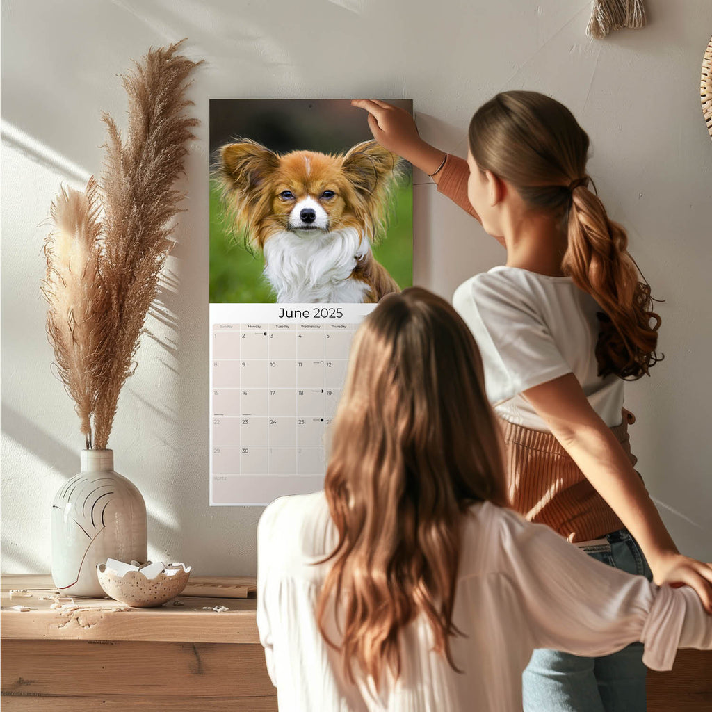 Papillon Wall Calendar 2025