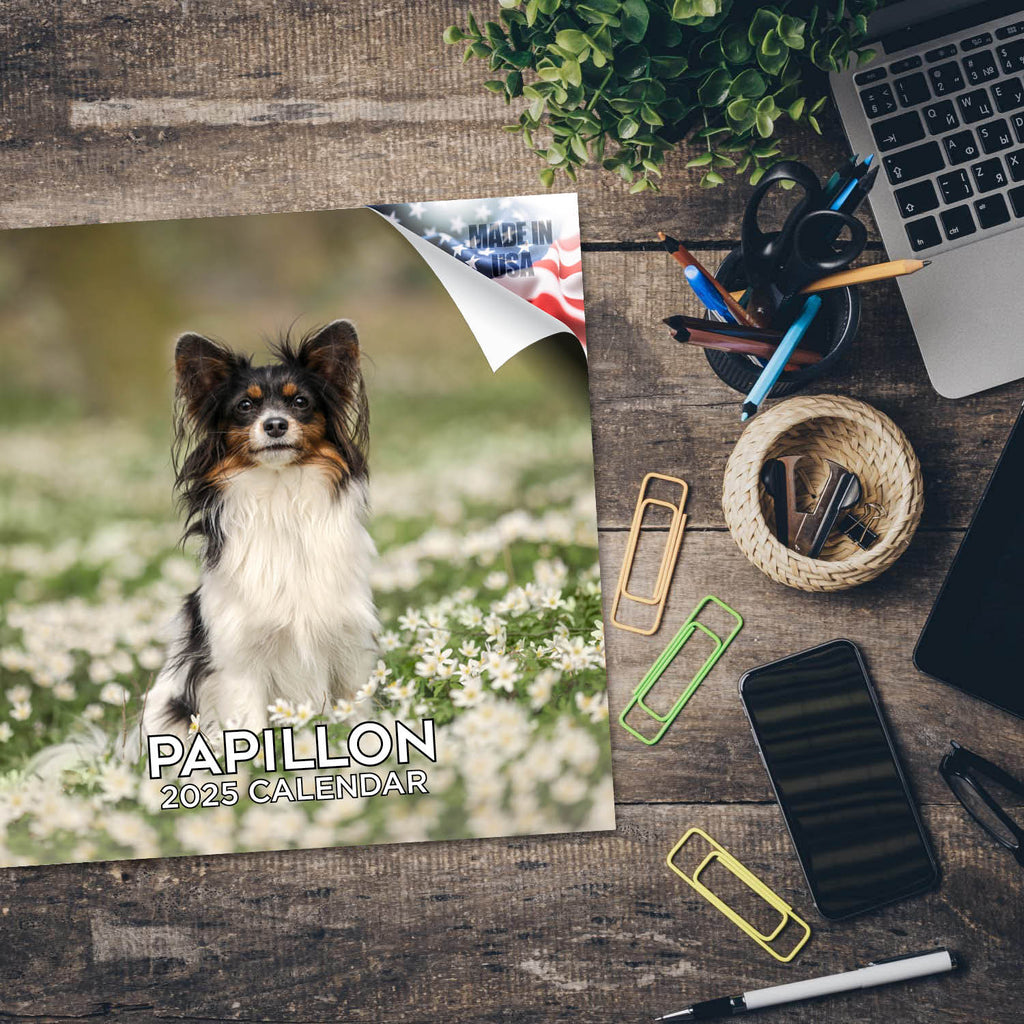 Papillon Wall Calendar 2025