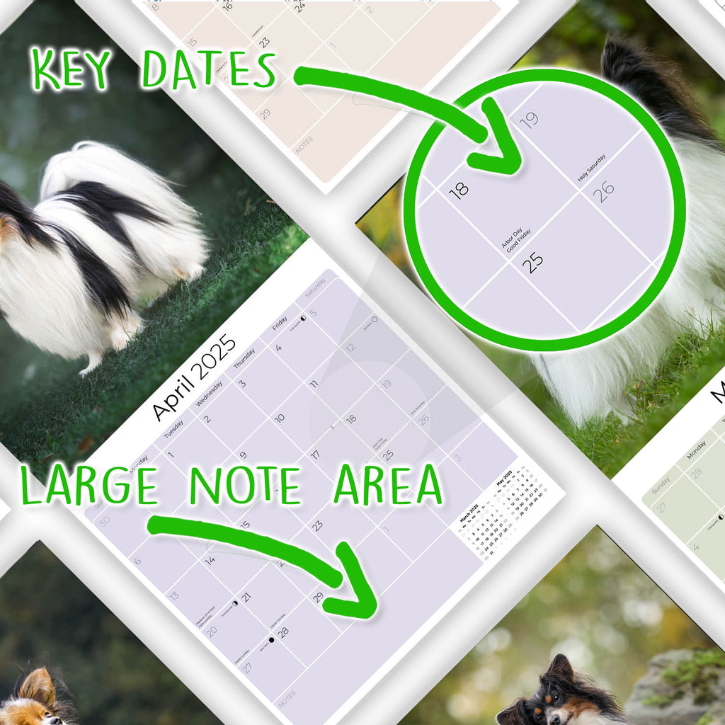 Papillon Wall Calendar 2025