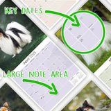 Papillon Wall Calendar 2025