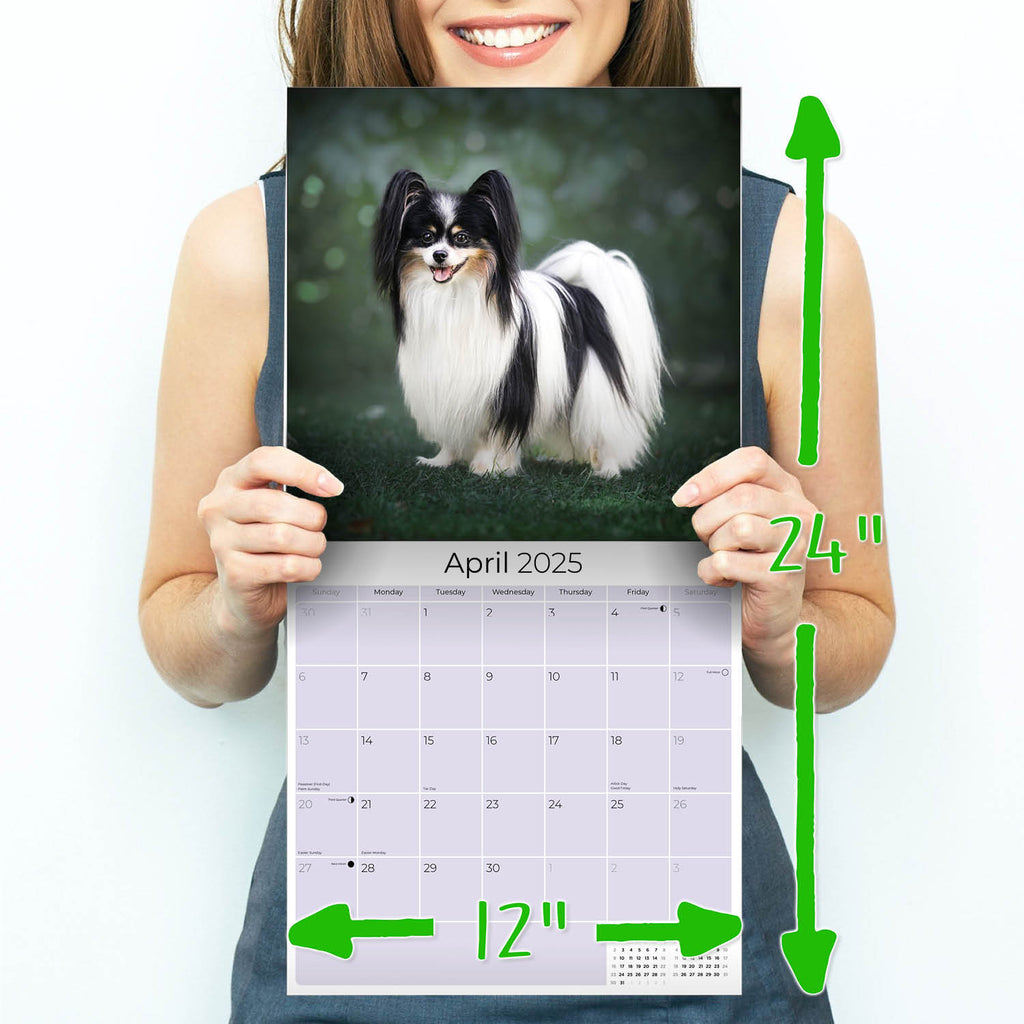 Papillon Wall Calendar 2025