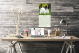 Papillon Wall Calendar 2025