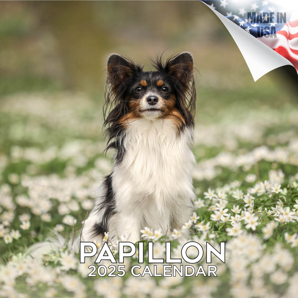 Papillon Wall Calendar 2025