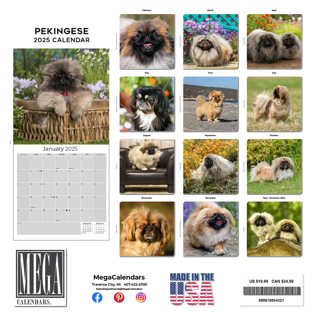 Pekingese Wall Calendar 2025