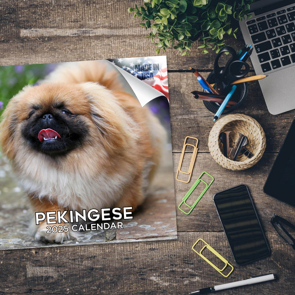 Pekingese Wall Calendar 2025