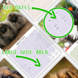 Pekingese Wall Calendar 2025