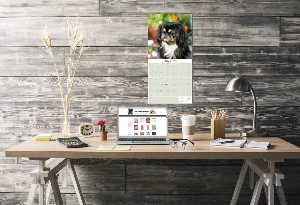 Pekingese Wall Calendar 2025