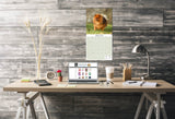 Pomeranian Wall Calendar 2025
