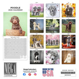 Poodle Wall Calendar 2025
