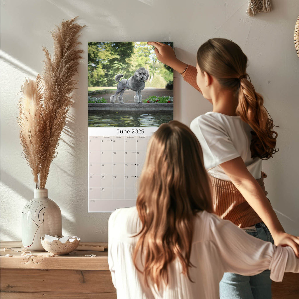 Poodle Wall Calendar 2025