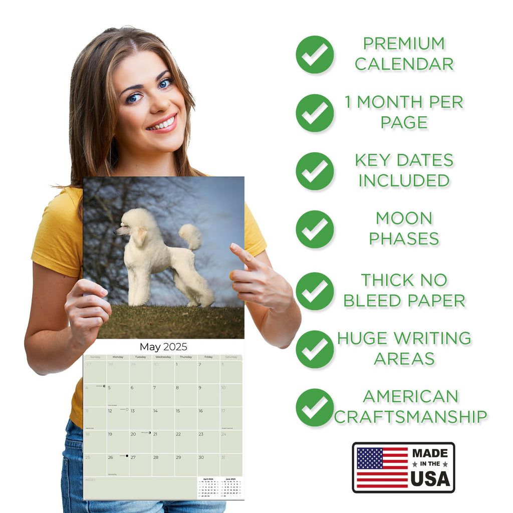 Poodle Wall Calendar 2025