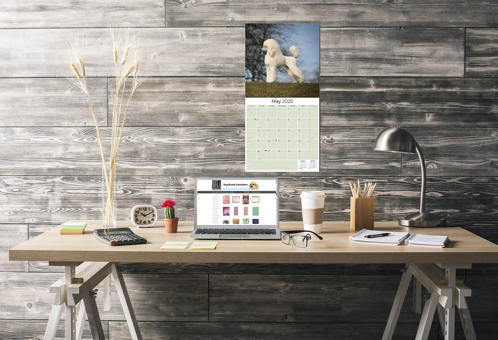 Poodle Wall Calendar 2025