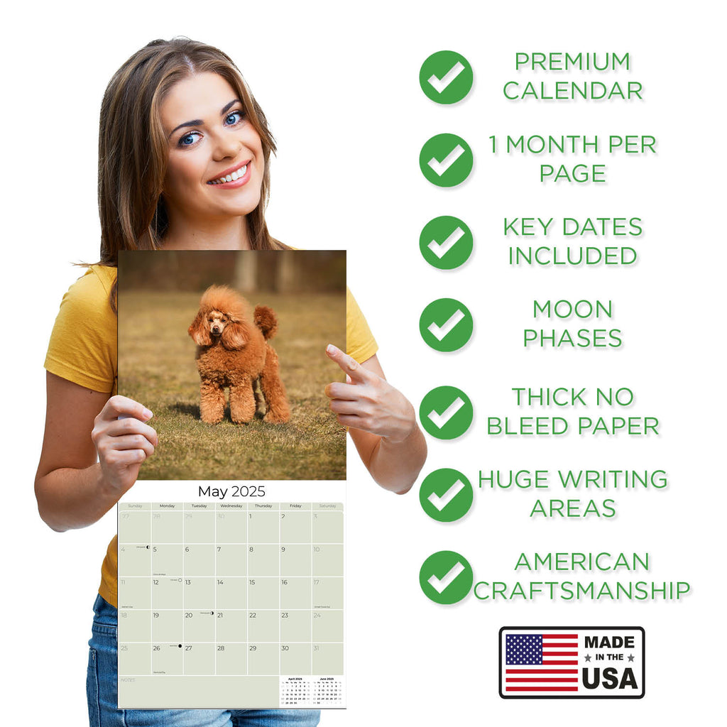 Poodle (Toy & Miniature) Wall Calendar 2025