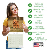 Poodle (Toy & Miniature) Wall Calendar 2025
