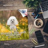 Poodle (Toy & Miniature) Wall Calendar 2025