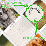 Poodle (Toy & Miniature) Wall Calendar 2025
