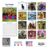 Poodle (Toy & Miniature) Wall Calendar 2024