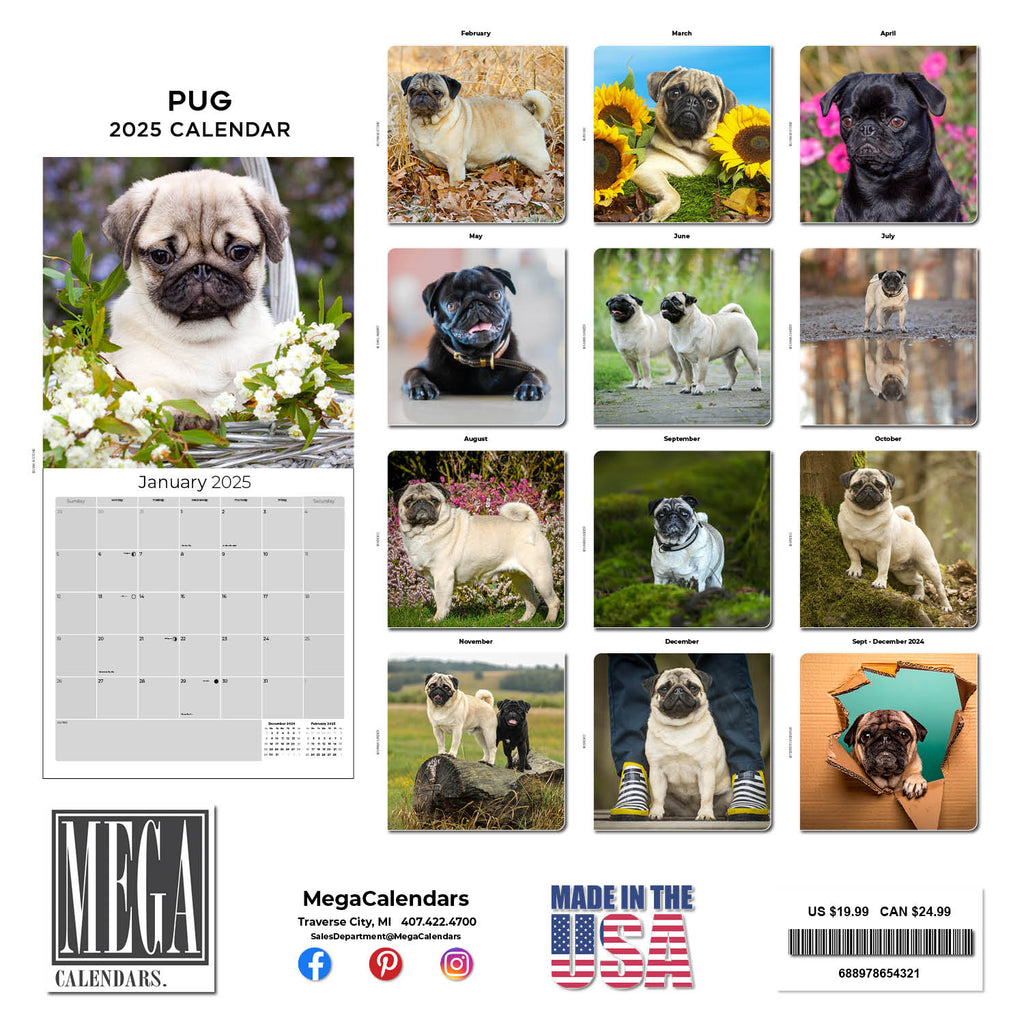 Pug Wall Calendar 2025