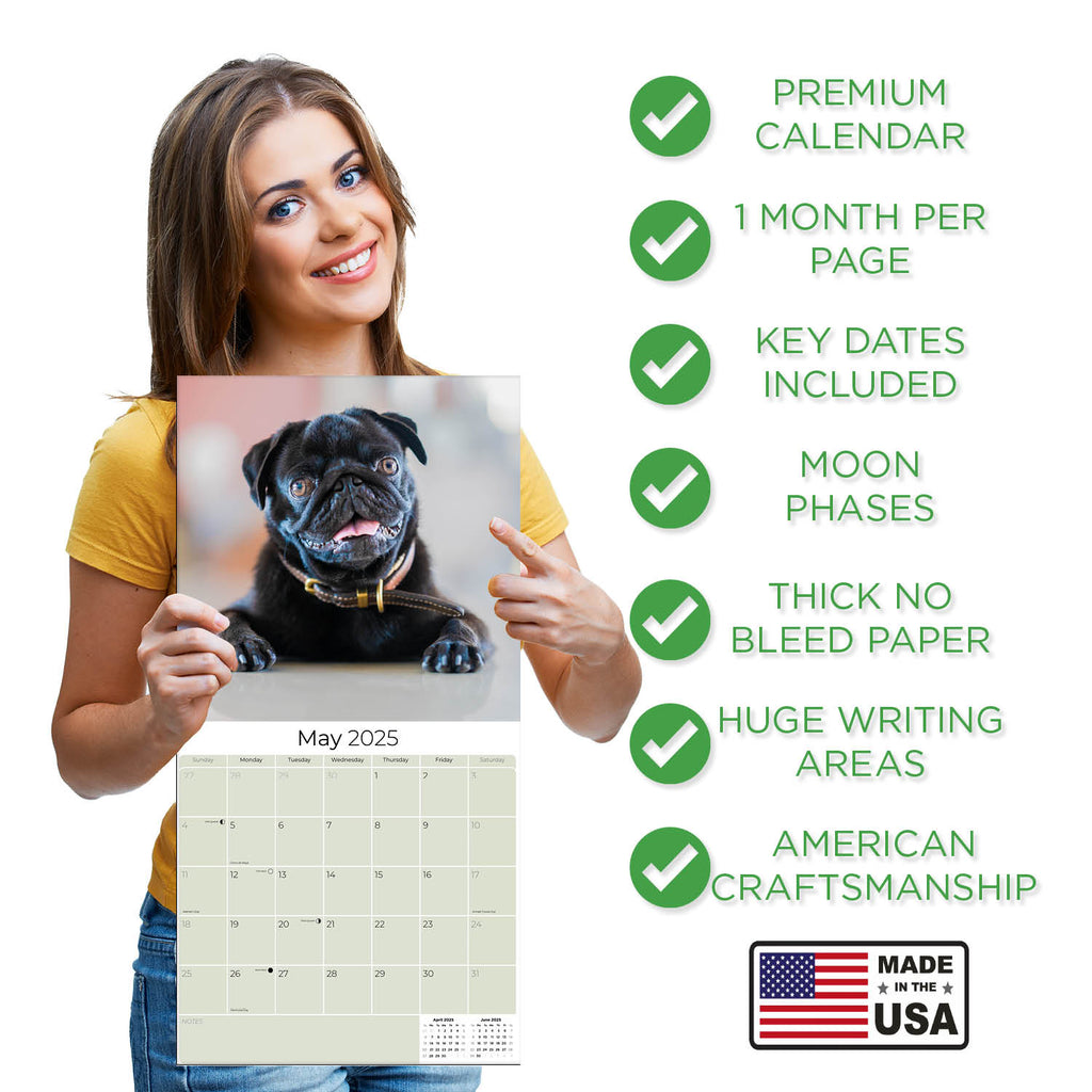 Pug Wall Calendar 2025