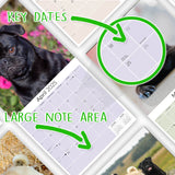 Pug Wall Calendar 2025