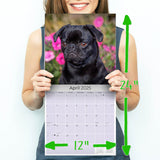 Pug Wall Calendar 2025