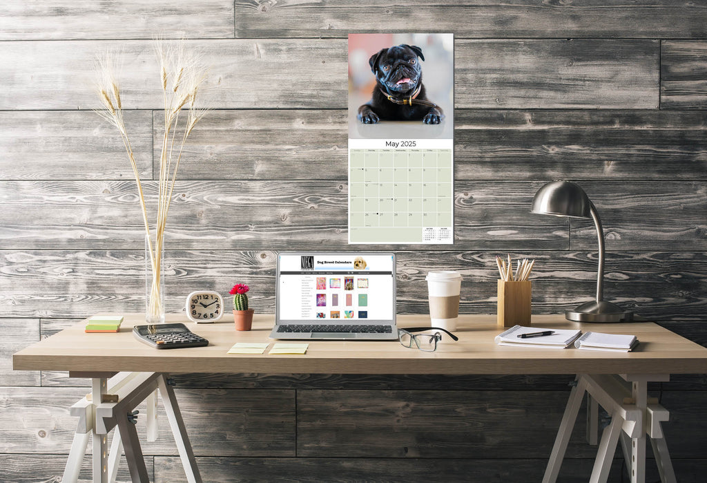 Pug Wall Calendar 2025