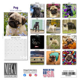 Pug Wall Calendar 2024