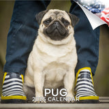 Pug Wall Calendar 2025